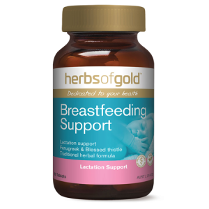 Breastfeeding Support 1