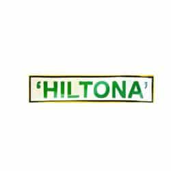 Hiltona